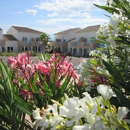 Διαμέρισμα Zecamping 3 Piscine Et Pataugeoire A 2km De La Animaux Acceptes Linguizzetta