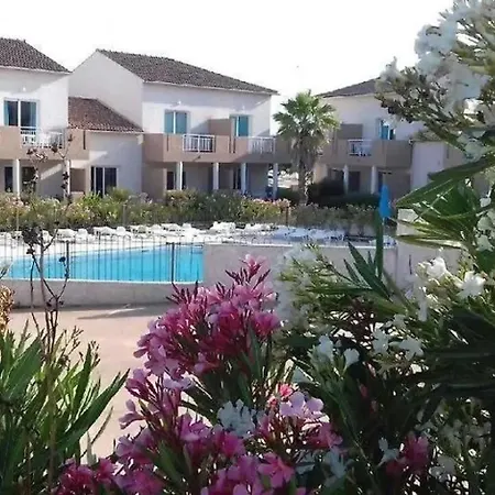Zecamping 3 Piscine Et Pataugeoire A 2km De La Animaux Acceptes Διαμέρισμα Linguizzetta