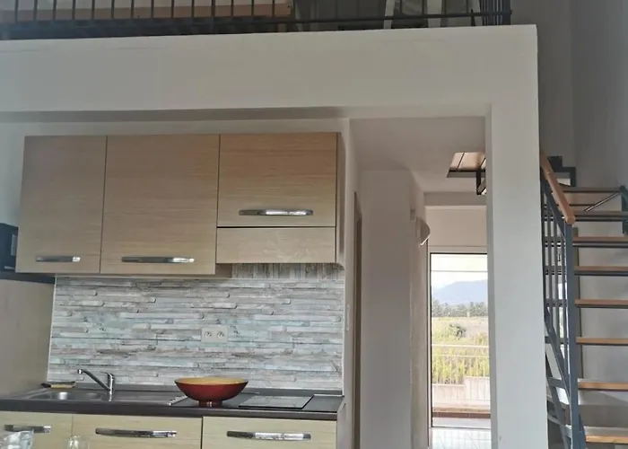 Camping 3 Etoiles - Piscine - Ccaiibh Linguizzetta