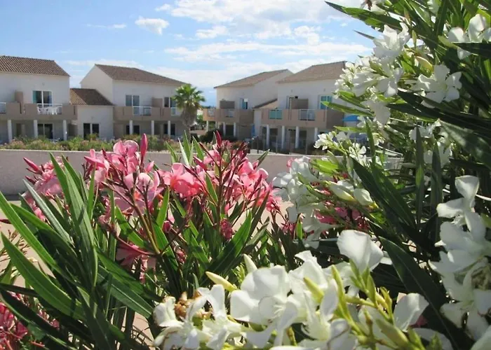 Διαμέρισμα Zecamping 3 Piscine Et Pataugeoire A 2km De La Animaux Acceptes Linguizzetta