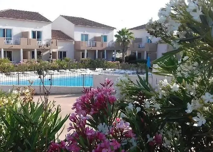 Zecamping 3 Piscine Et Pataugeoire A 2km De La Animaux Acceptes Διαμέρισμα Linguizzetta